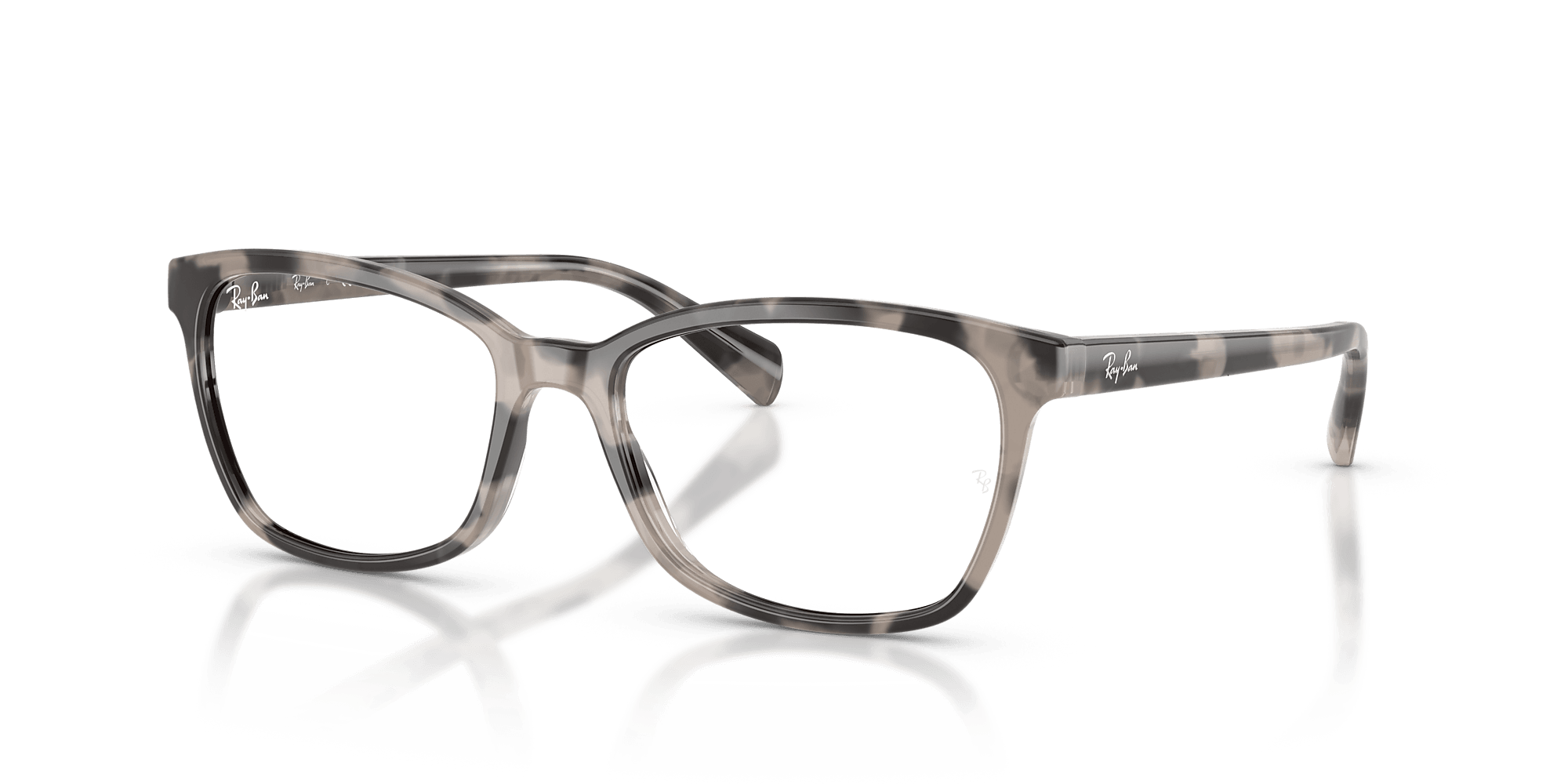 RB5362 Optics