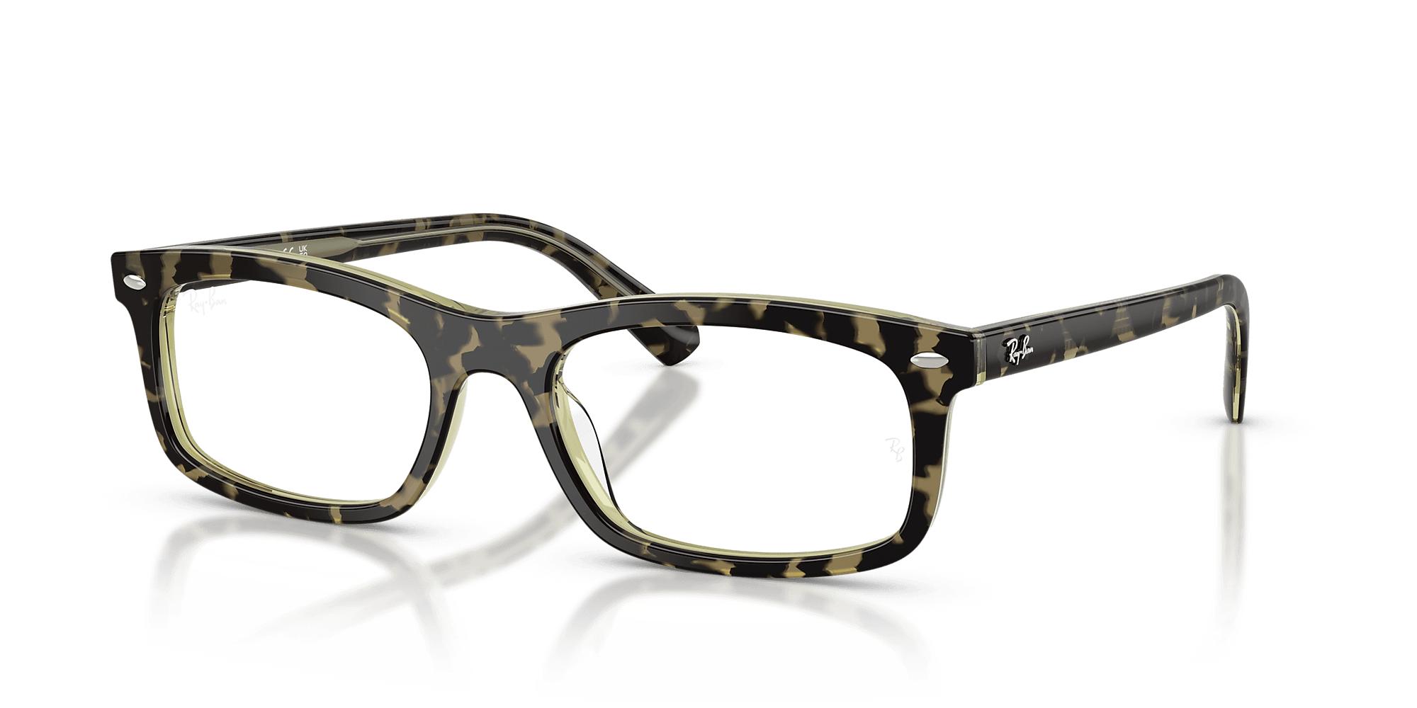 RB5450 Optics