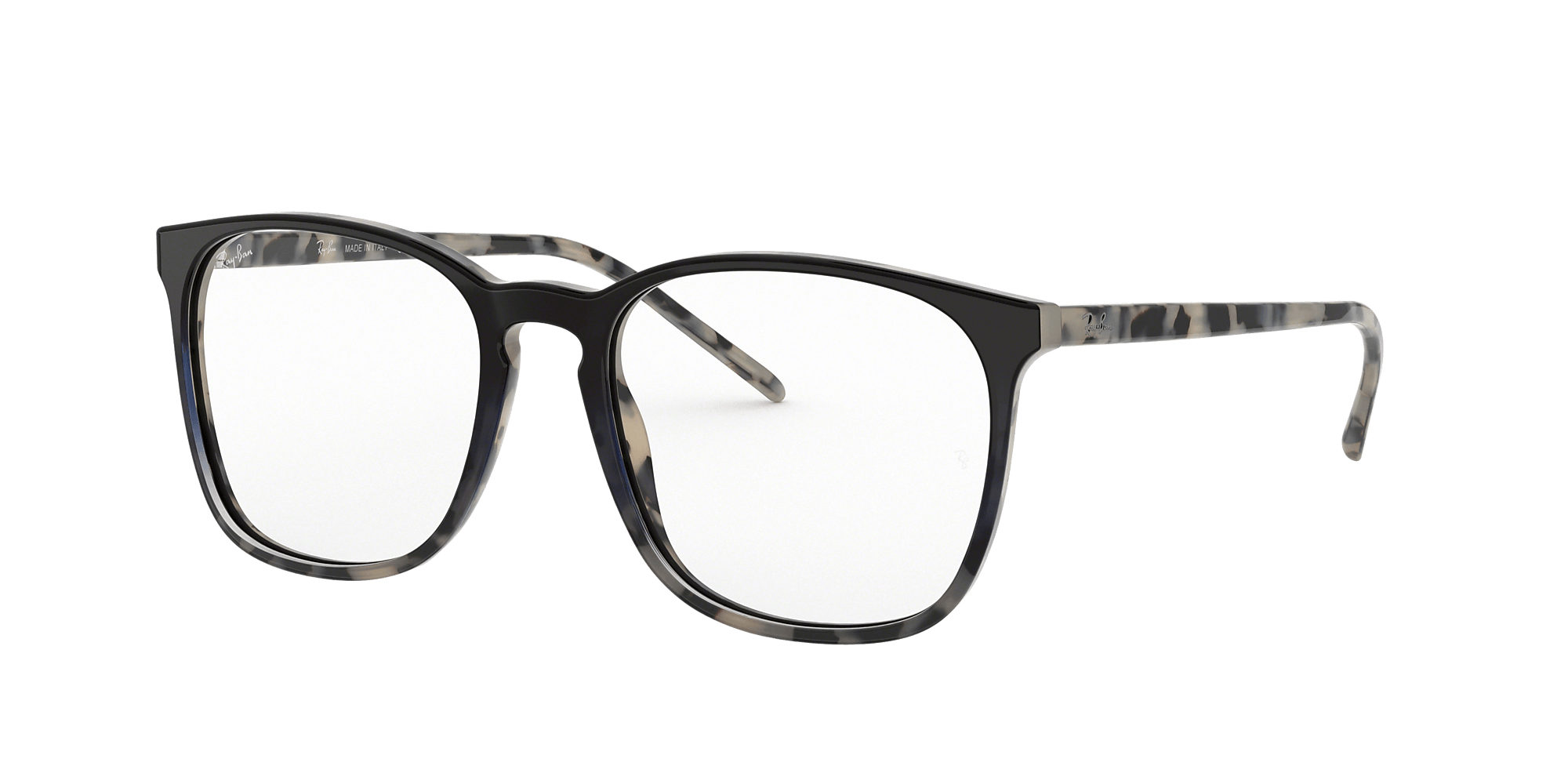 RB5387 Optics
