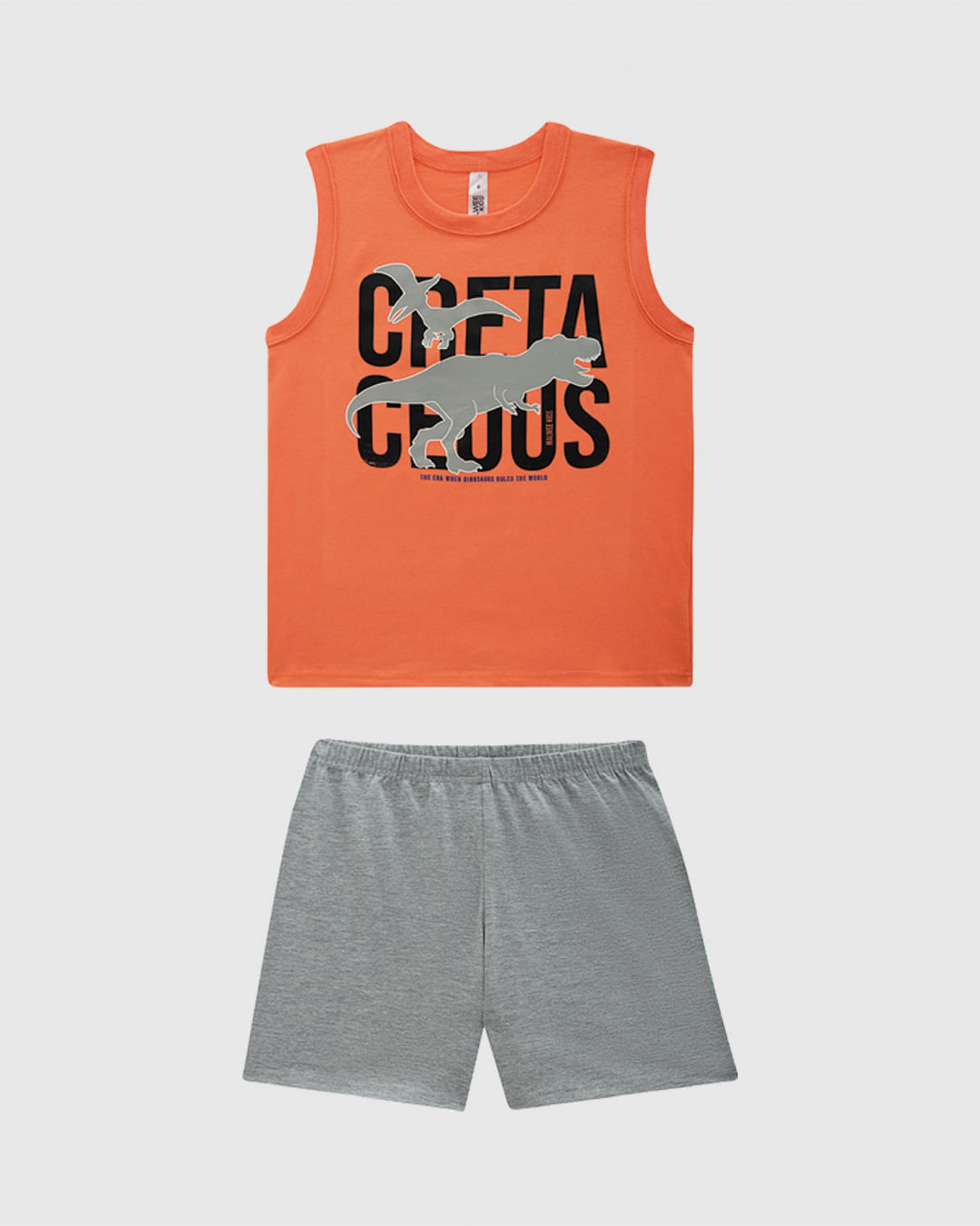 Pijama Infantil Menino Regata Estampada Em Algodão Malwee Kids — Laranja - 1