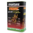 PENTOX SUPER INCOLOR 5L MONTANA