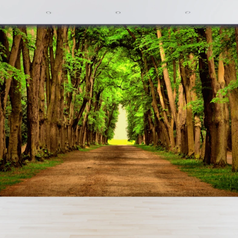 Papel de Parede Adesivo Paisagens Caminhos Natureza Floresta 1m² SOB MEDIDA CONSULTE #01