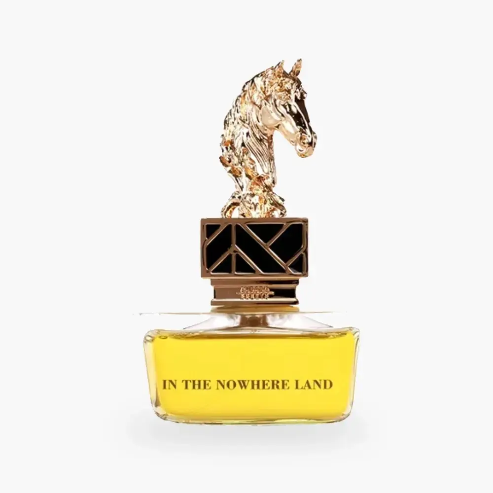 In The Nowhere Land — 100 ML