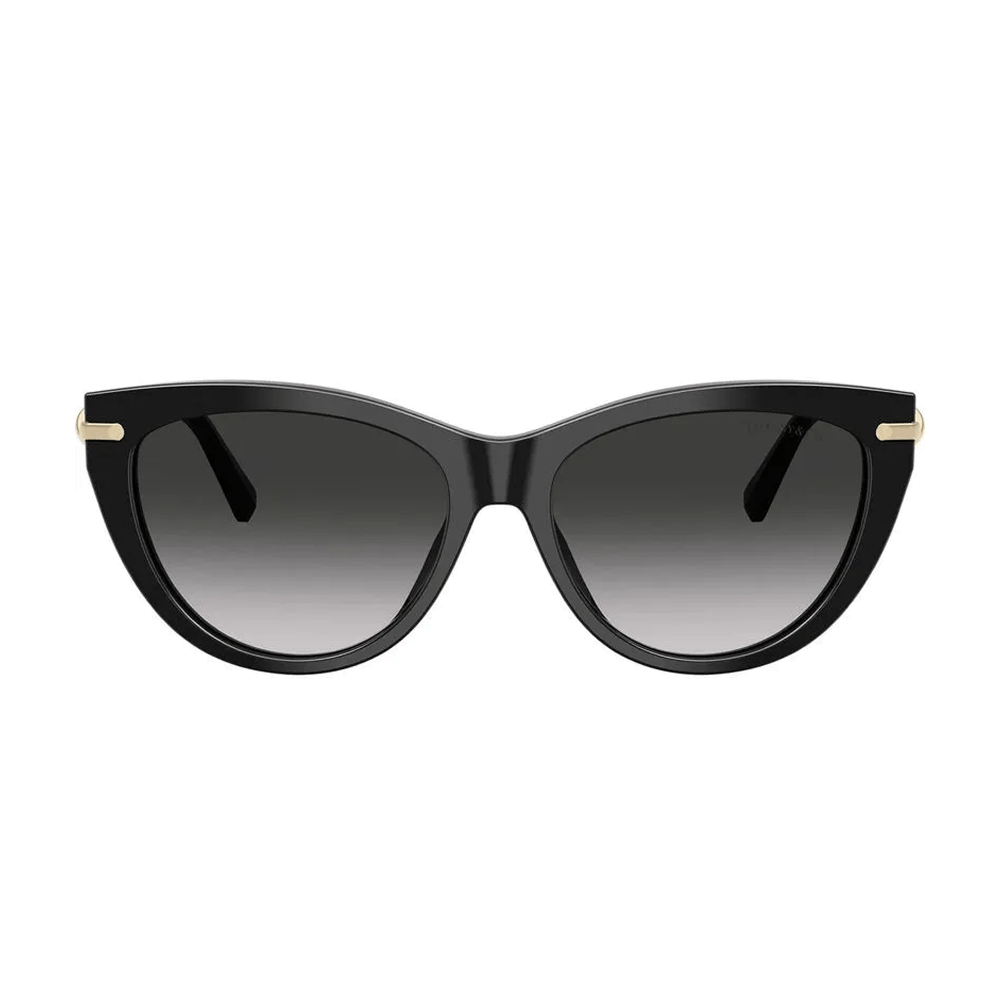 Óculos de Sol Feminino Tiffany & Co. TF4253 Preto