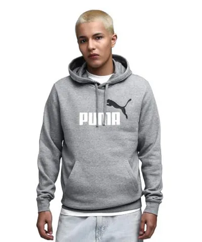 Moletom Puma Ess 2 Color Logo Cinza Tam. 3GG