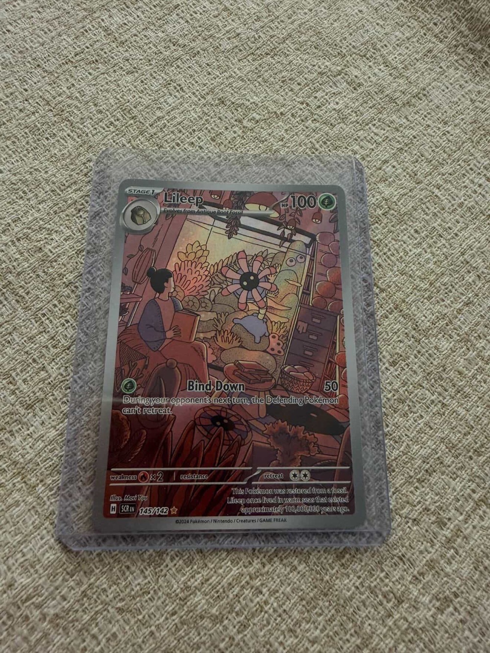 Lileep (145/142) Coroa Estelar Pokémon TCG — Near Mint, Novo