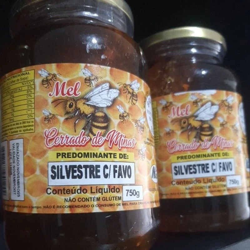 Mel Cerrado de Minas 750g Pote de Vidro com Favo