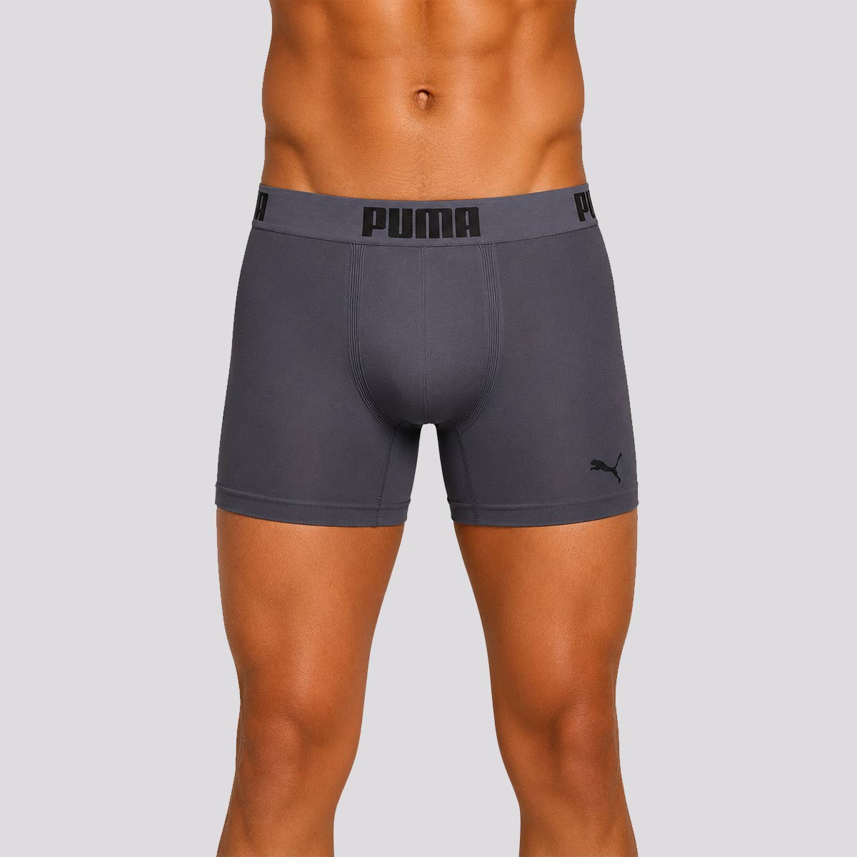 Cueca Boxer Puma Anatomic Sem Costura Cinza