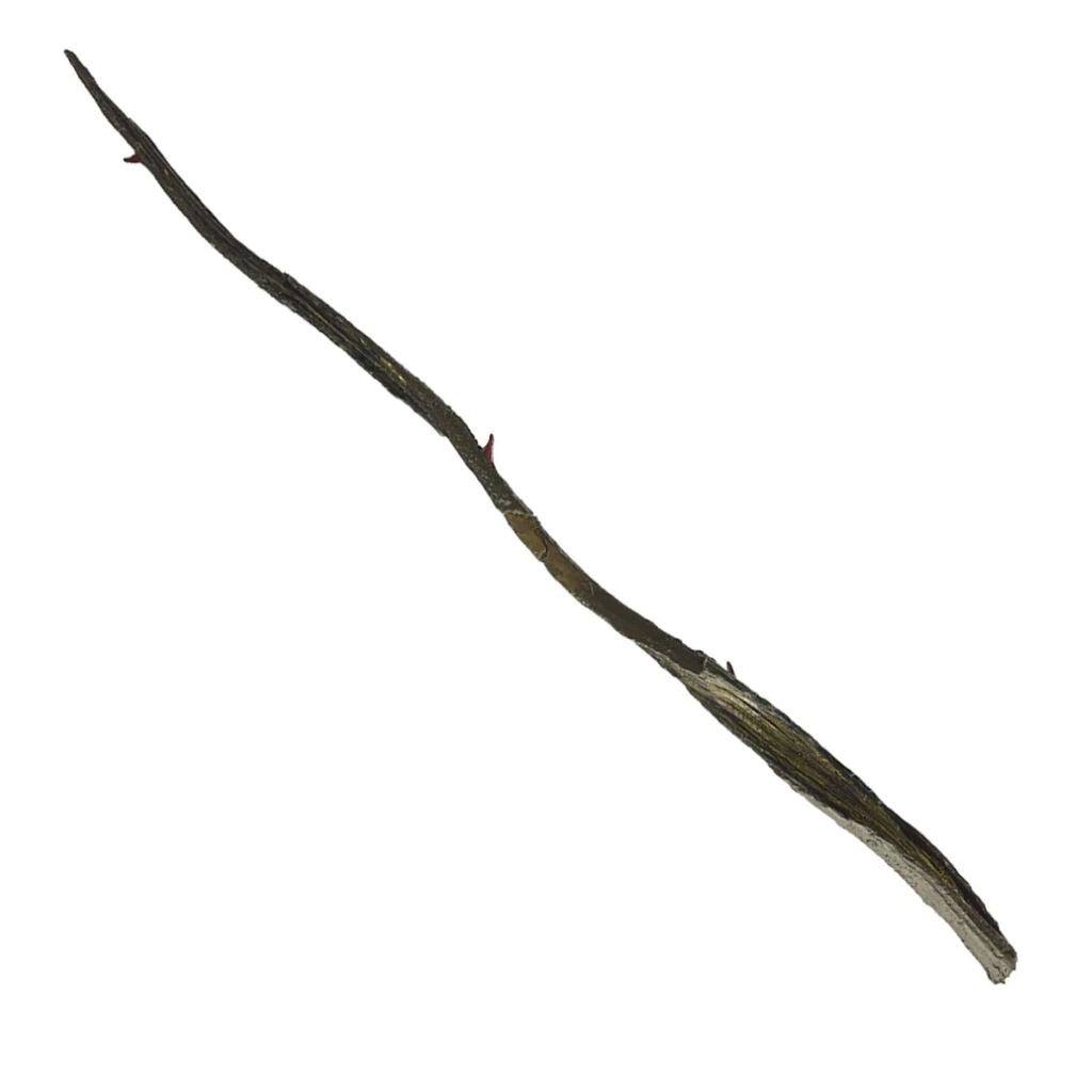 Varinha de Grindelwald com Placa Dourada(USADA)