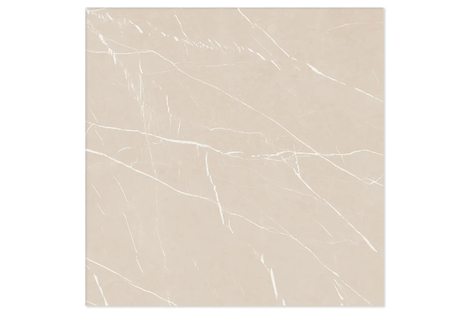 PORCELANATO 5004384A POL 100X100 - CEUSA
