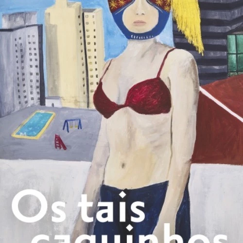os tais caquinhos autor Natercia Pontes