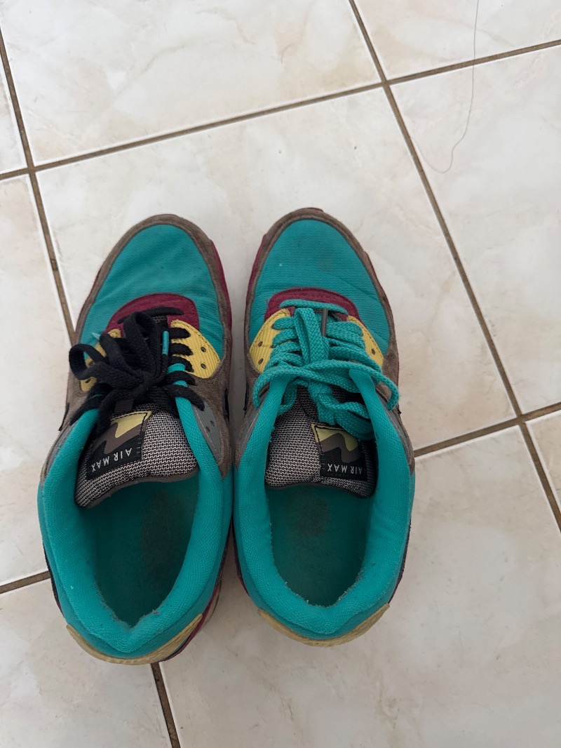 Foto 4 de Nike Air Max 90 Ridgerock — 40.5, Usado
