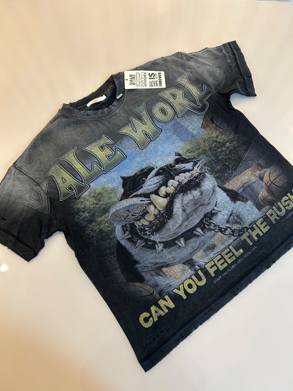 Camiseta Vale Lives Forever Wrecked Black — G, Novo