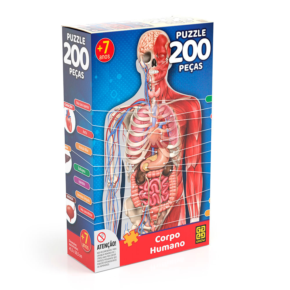 Combo Corpo Humano