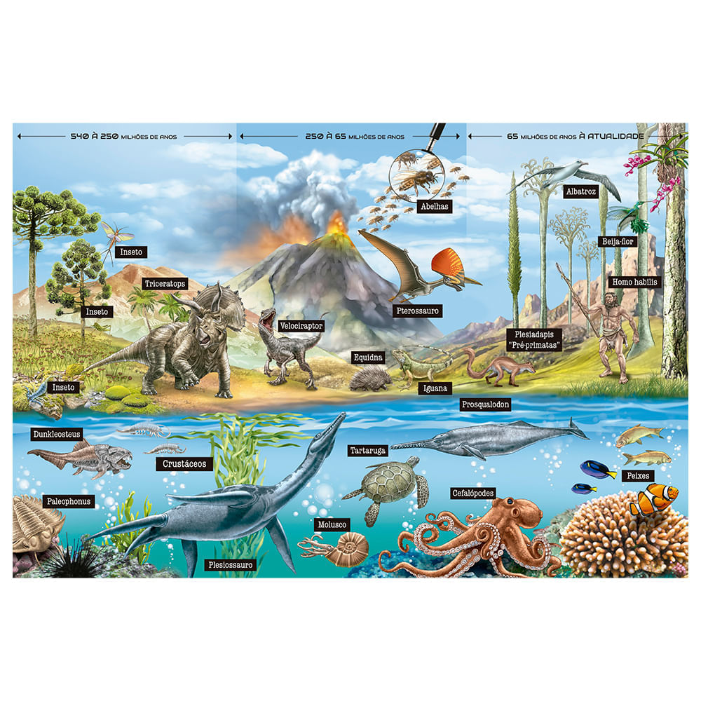 Foto 3 de Quebra-cabeça 200 peças Evolução dos Animais
