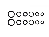 KIT DE ANEIS O'RING BLUKIT