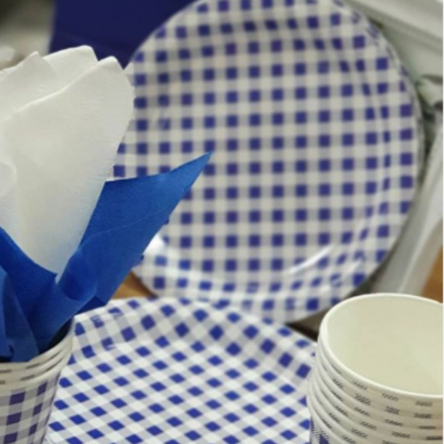 Prato Papel Biodegradável Festa Junina Azul - 10 un - 18 cm - Silver Festas - Rizzo