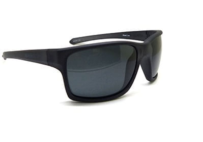 Óculos de sol Speedo, modelo THE FLOAT COLLECTION, cor H01