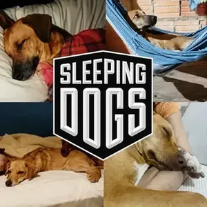 [Jogo + DLCs] Sleeping Dogs: Definitive Edition - PC