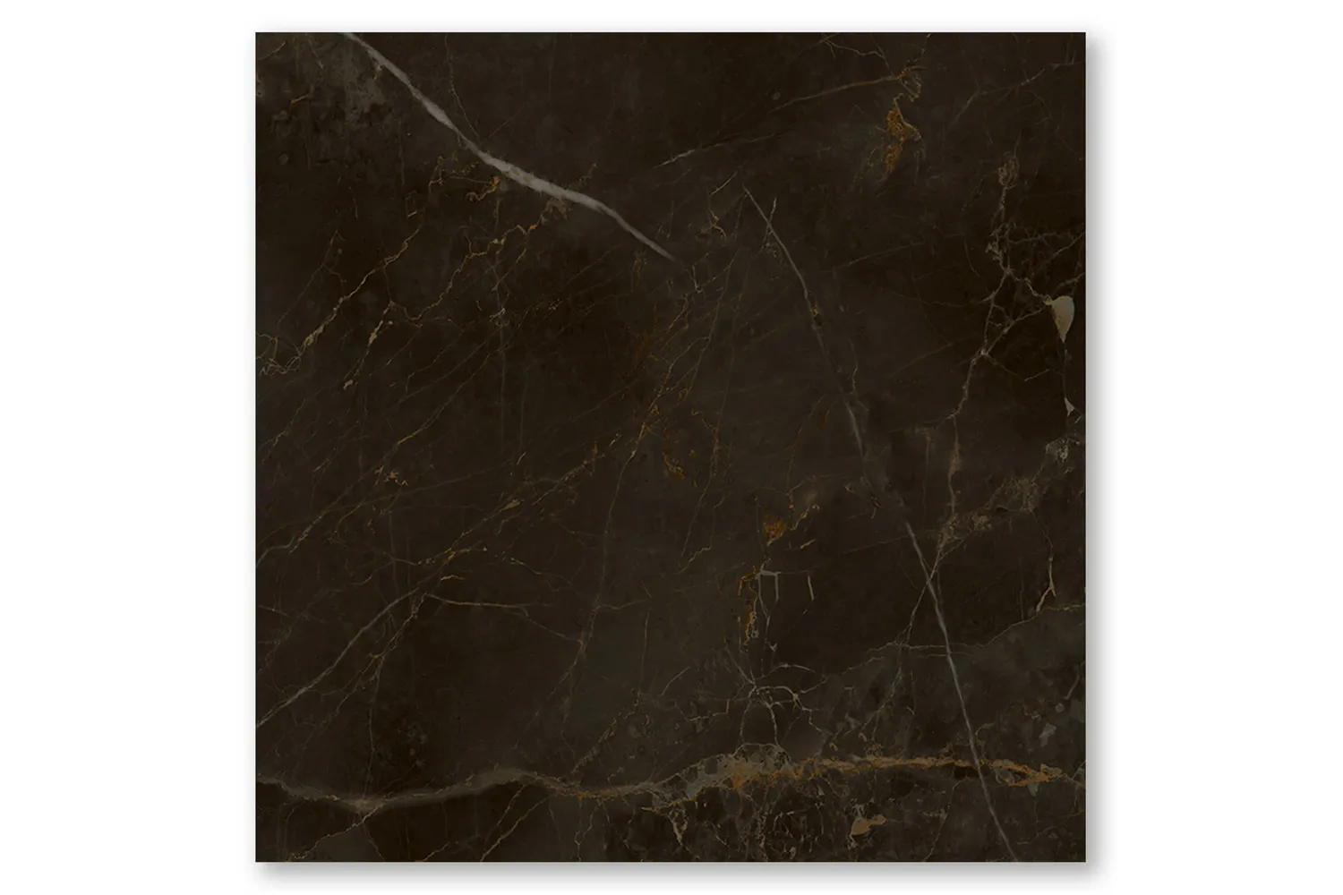 PORCELANATO 5008676A AC 80X80 - CEUSA