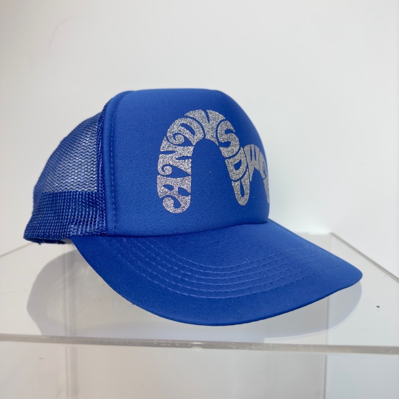 Foto 2 de Andy Sower x Evisu Boné Seagull Logo Blue — Único, Novo