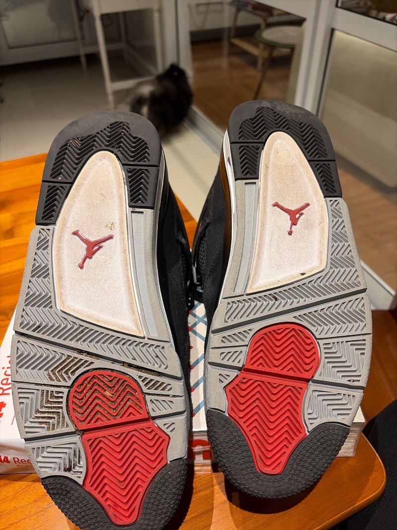 Foto 5 de Air Jordan 4 SE Black Canvas — 43, Usado