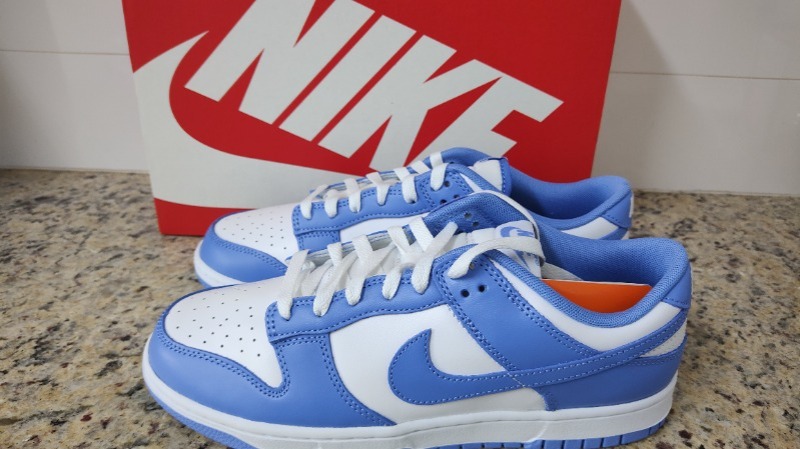 Nike Dunk Low Polar Blue — 41, Novo