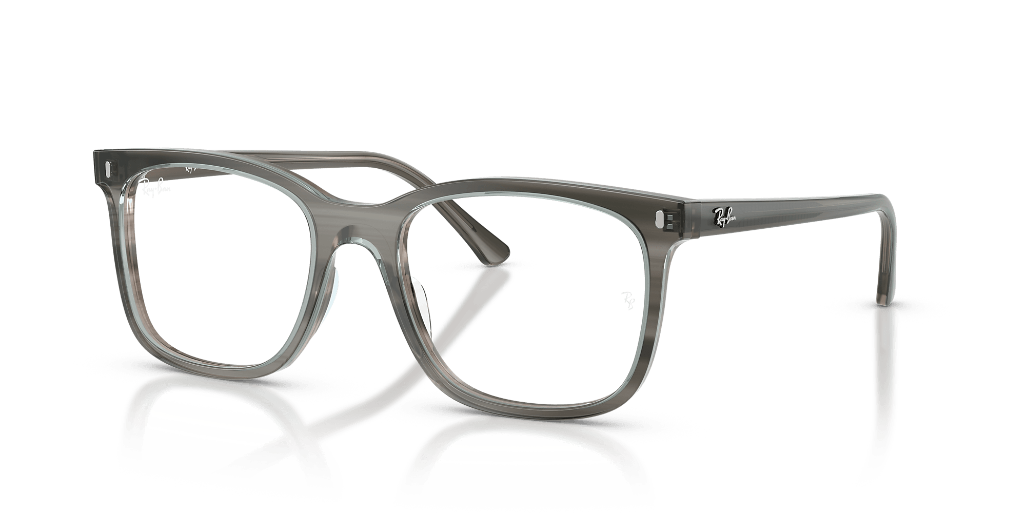 RB5446 Optics