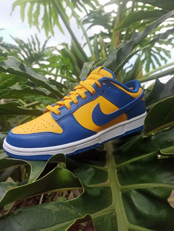 Nike Dunk Low UCLA — 39 / 40 / 42, Novo