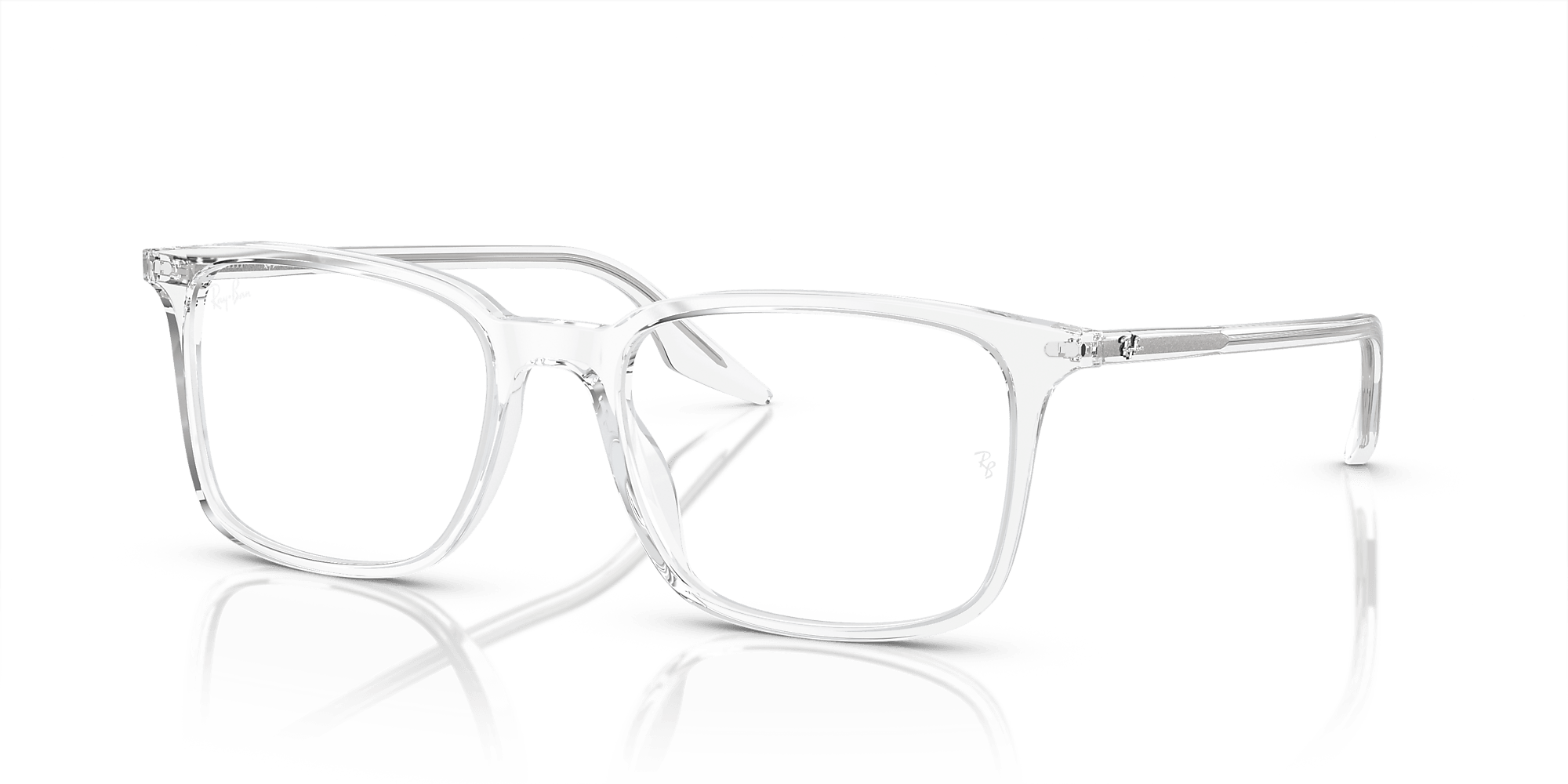 RB5421 Optics