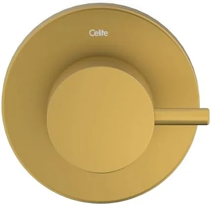 ACABAMENTO REGISTRO BASE CELITE 1.1/4 E 1.1/2 BASIC GOLD MATTE CELITE