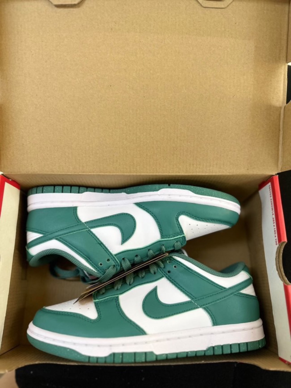 Nike Dunk Low Bicoastal — 35, Novo