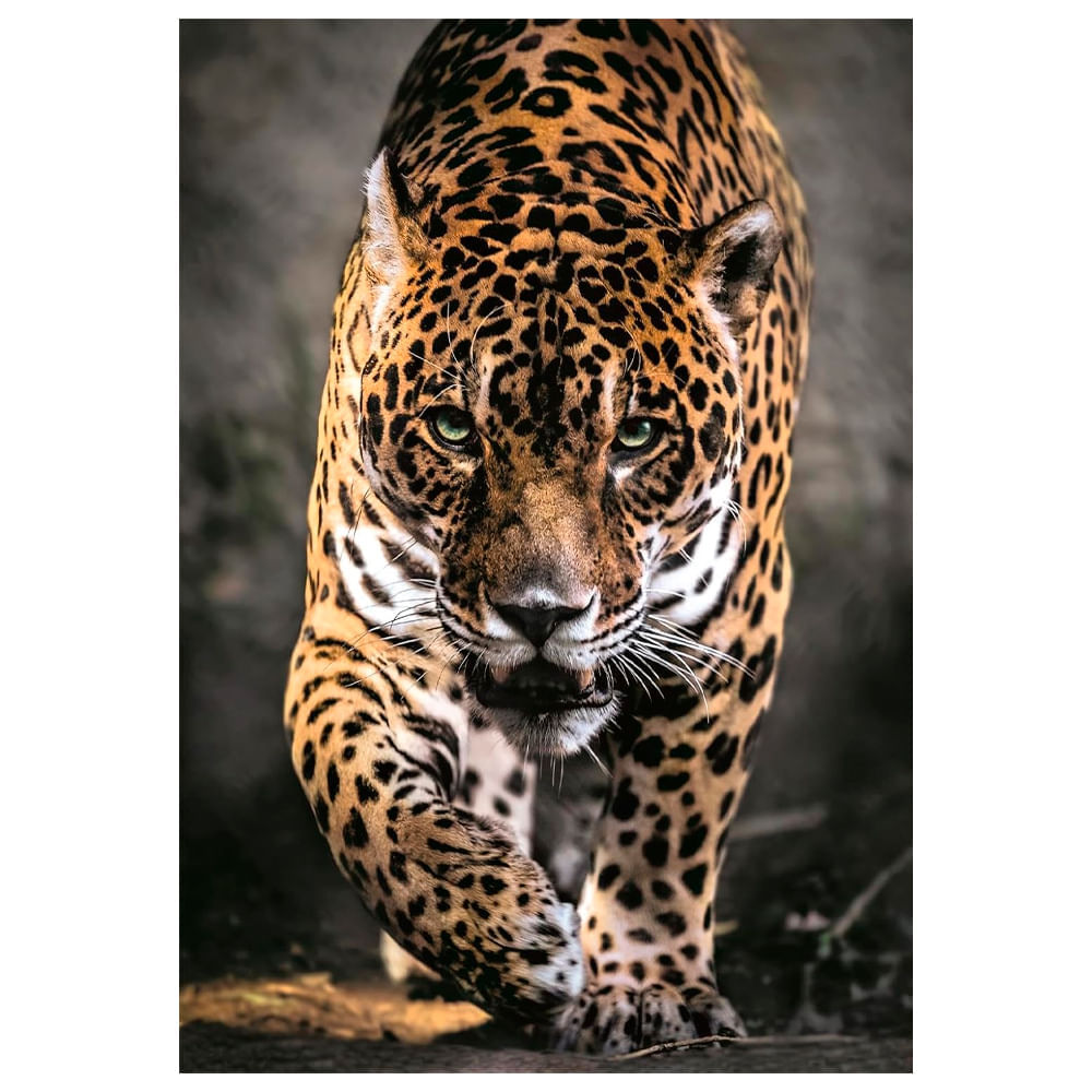 Foto 2 de Puzzle 1000 Peças Jaguar - Clementoni 39947