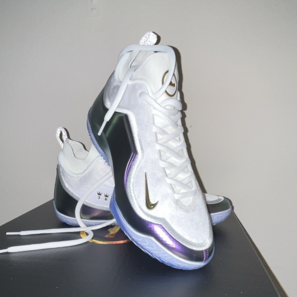 Nike LeBron XXIII Elite For the Record — 38 / 39 / 39.5 / 40 / 40.5 / 41 / 42 / 42.5 / 43 / 43.5 / 44, Novo