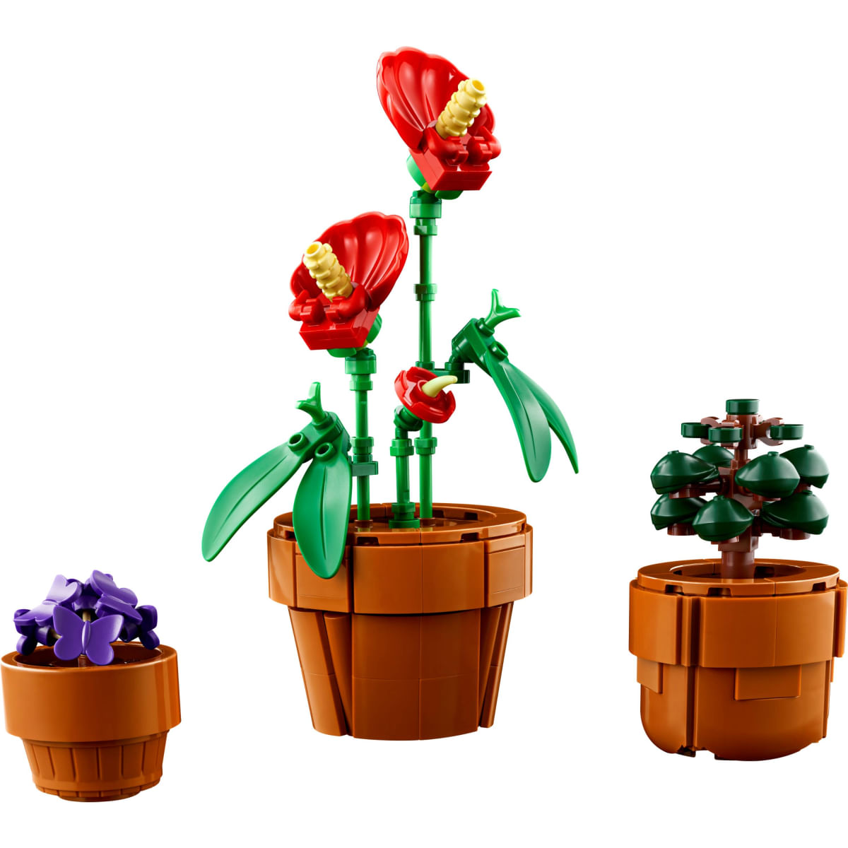 Foto 3 de LEGO® Icons - Plantinhas